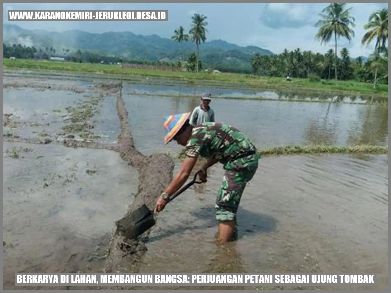 Petani
