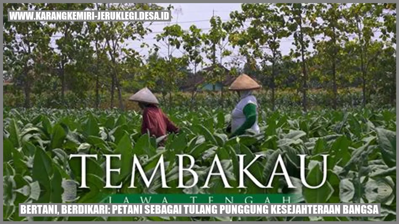 Petani