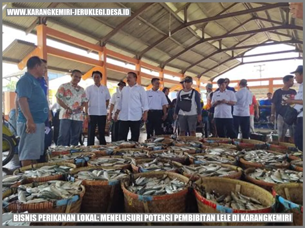 Gambar Pembibitan Lele di Karangkemiri