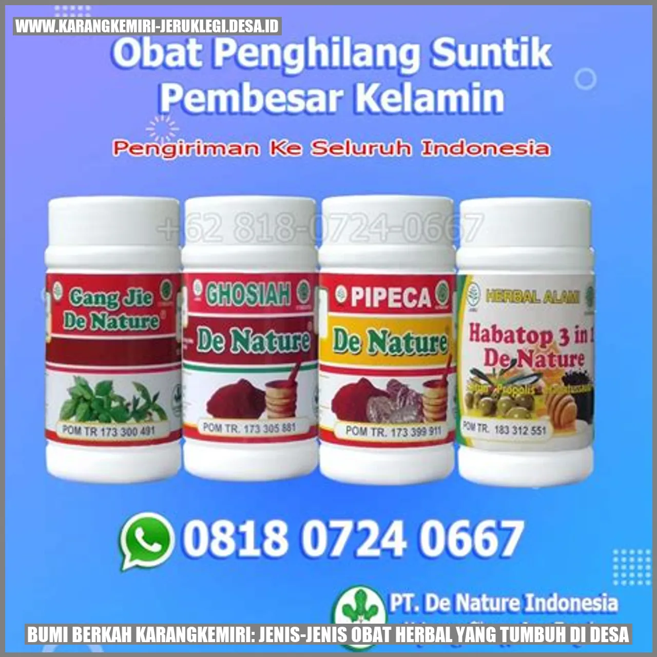 Bumi Berkah Karangkemiri: Jenis-jenis Obat Herbal yang Tumbuh di Desa