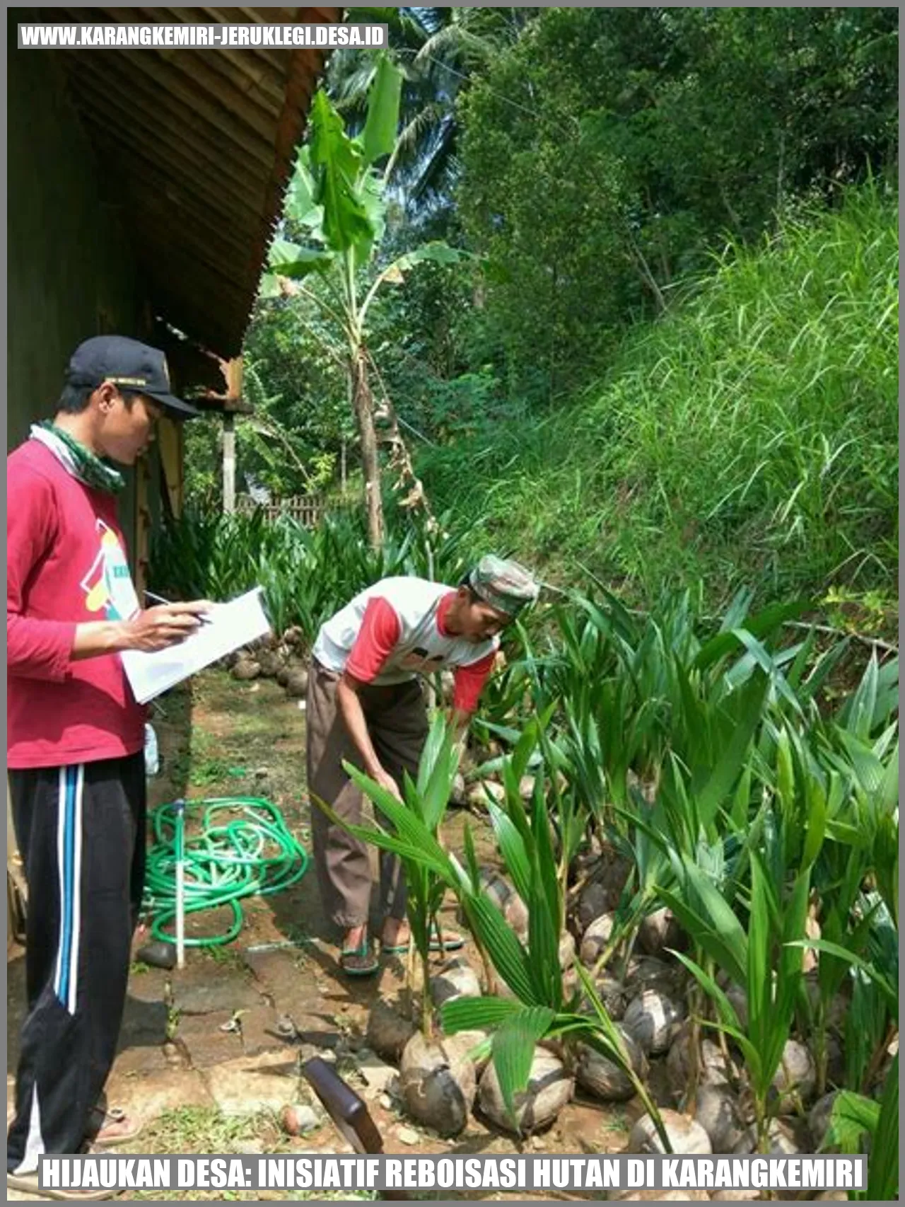 Hijaukan Desa: Inisiatif Reboisasi Hutan di Karangkemiri