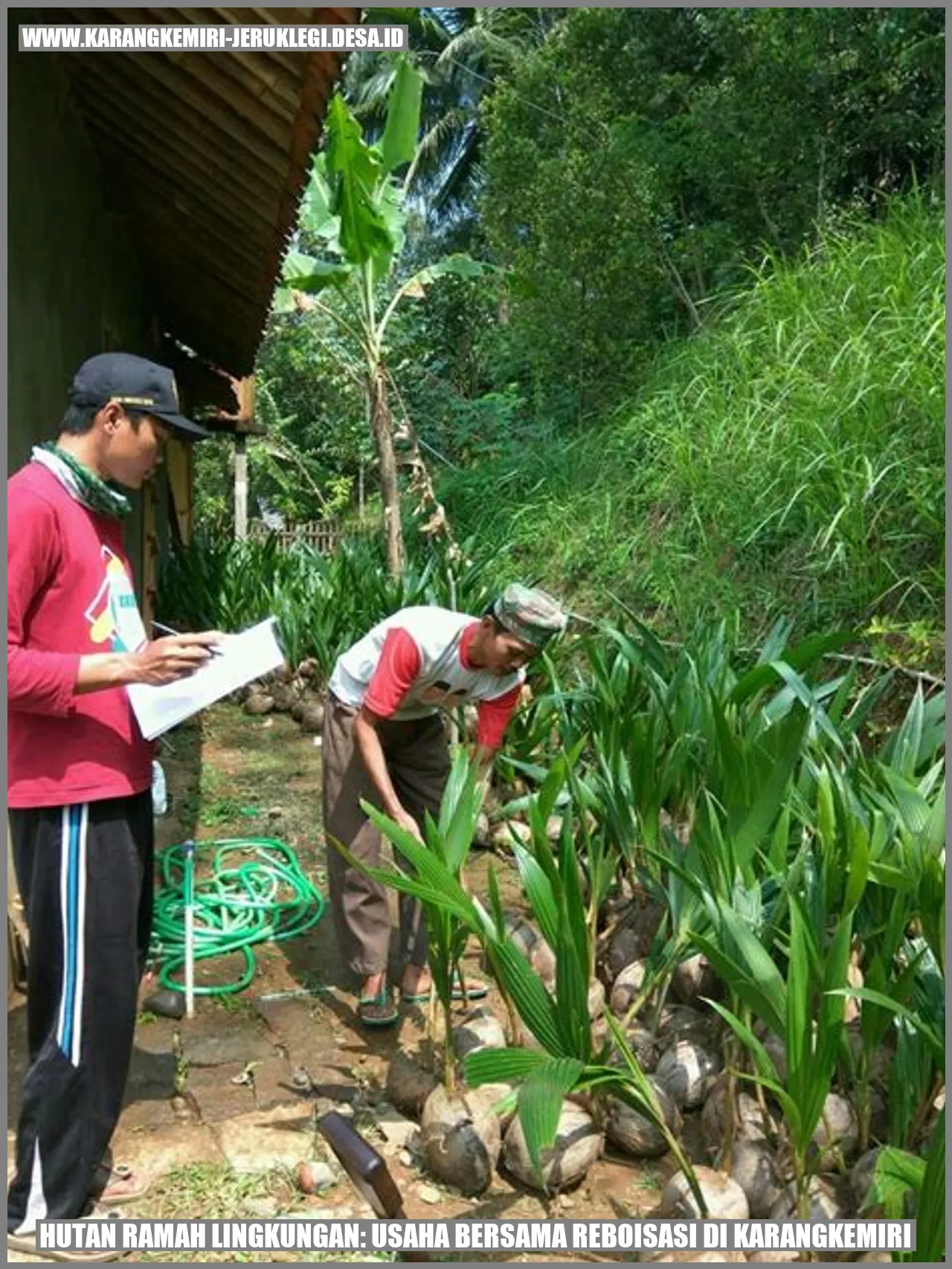 Hutan Ramah Lingkungan: Usaha Bersama Reboisasi di Karangkemiri