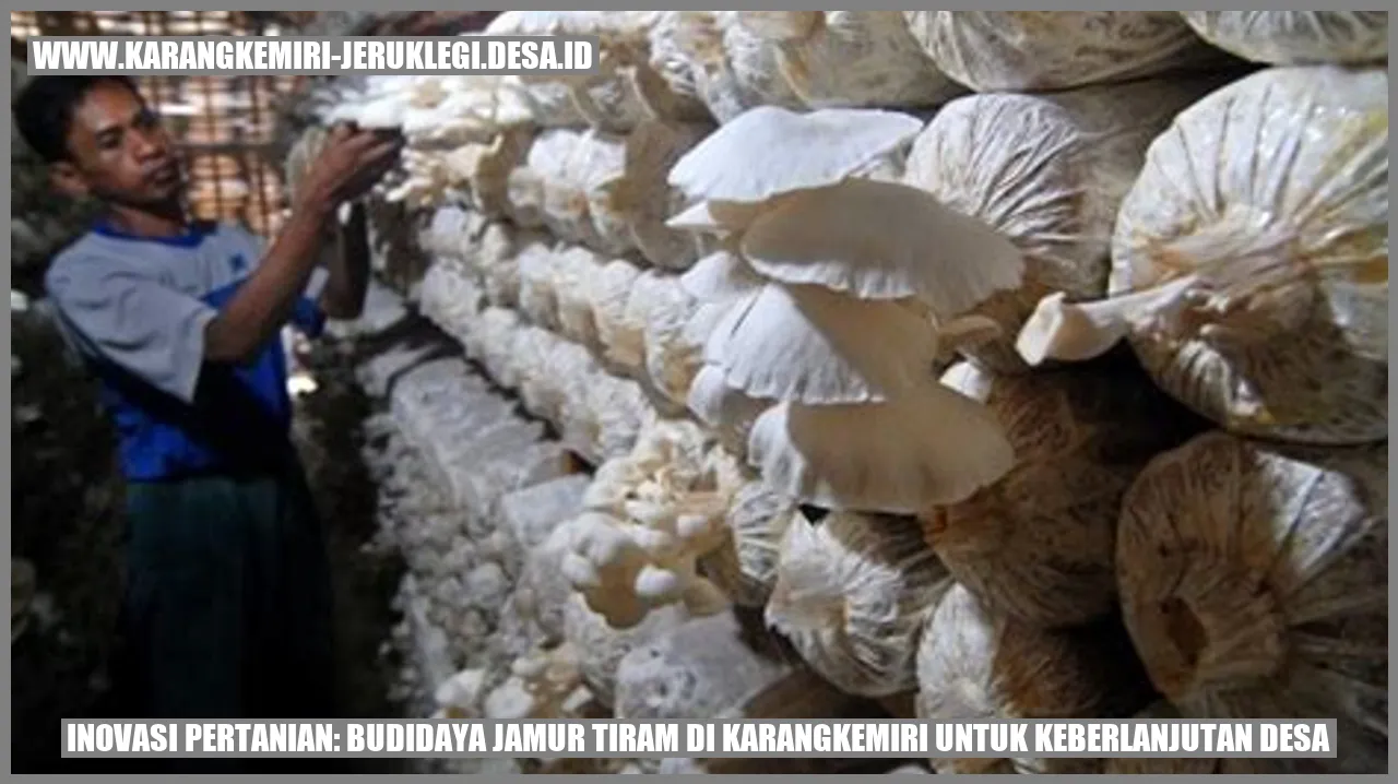 Jamur Tiram