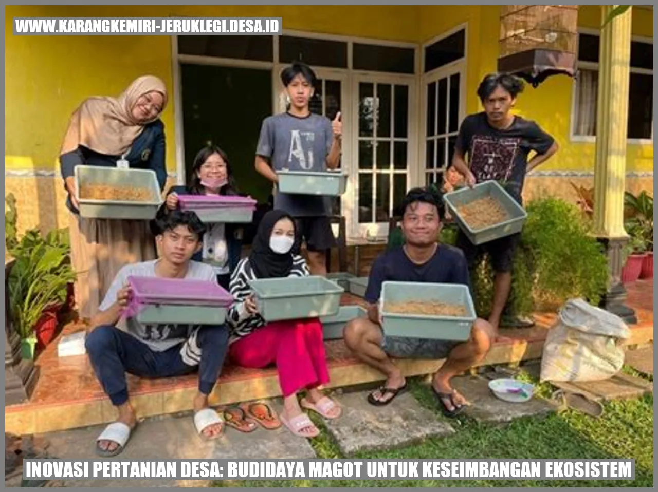 Budidaya Magot untuk Keseimbangan Ekosistem