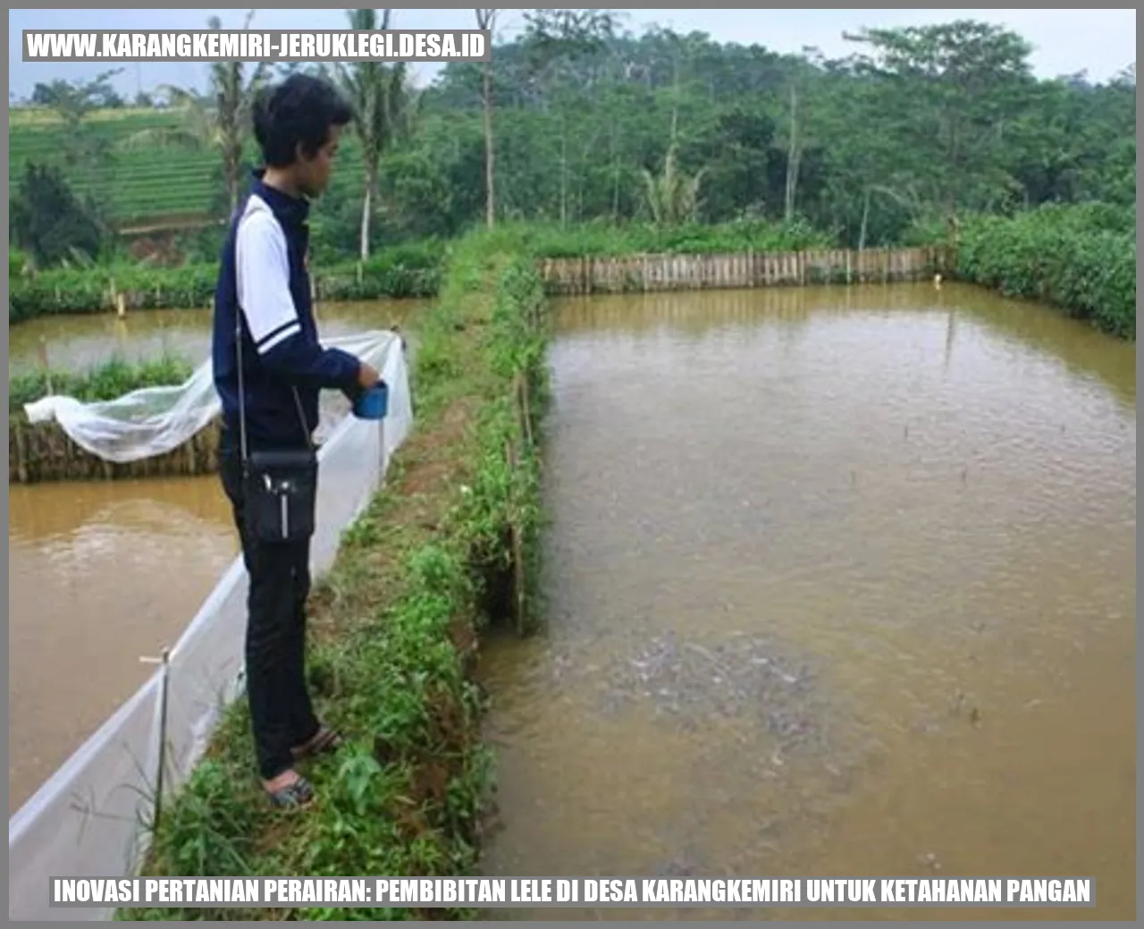 Inovasi Pertanian Perairan: Pembibitan Lele di Desa Karangkemiri untuk Ketahanan Pangan