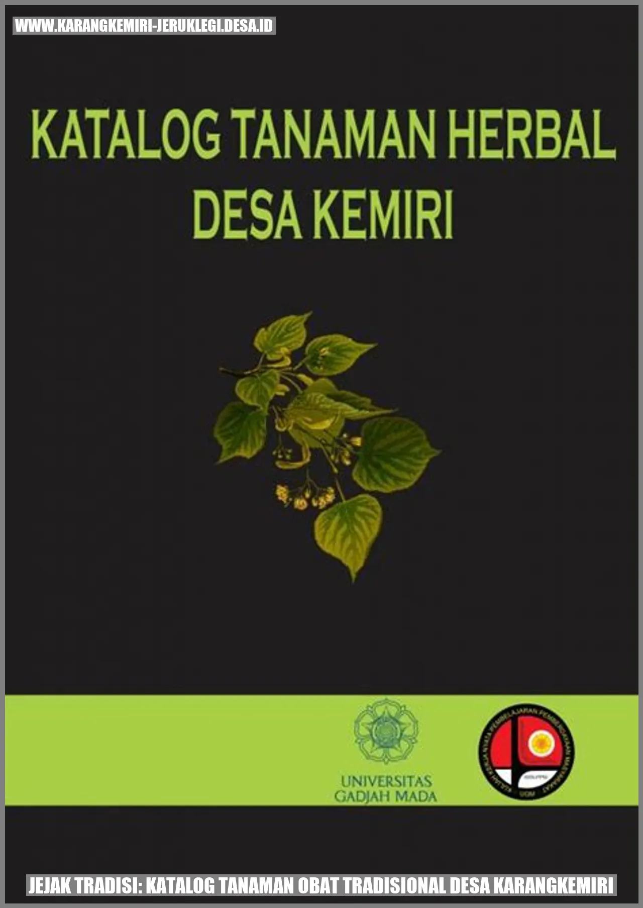 Jejak Tradisi: Katalog Tanaman Obat Tradisional Desa Karangkemiri