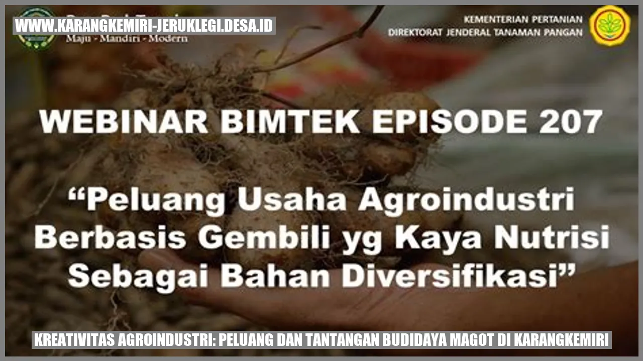 Budidaya Magot di Karangkemiri