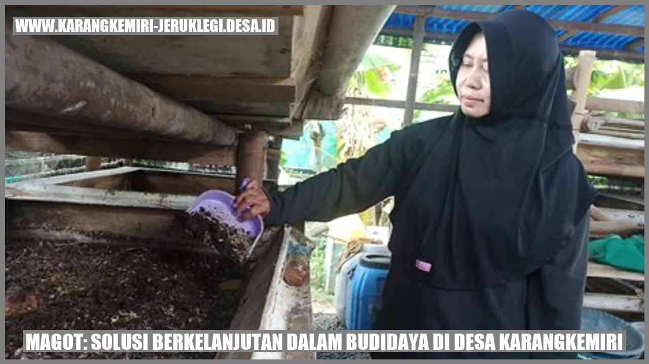 Magot: Solusi Berkelanjutan dalam Budidaya di Desa Karangkemiri