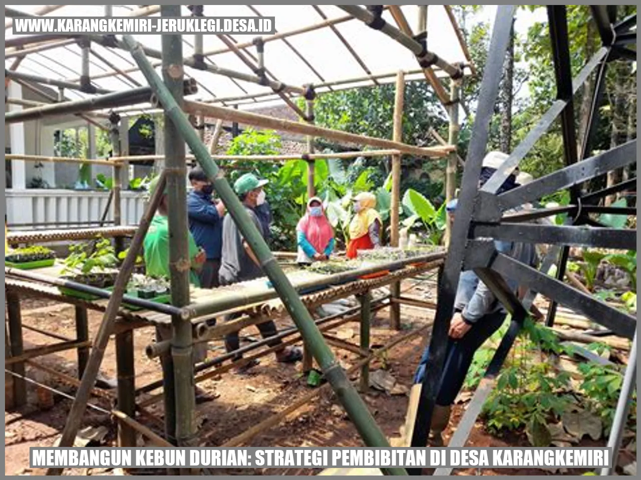 Kebun Durian