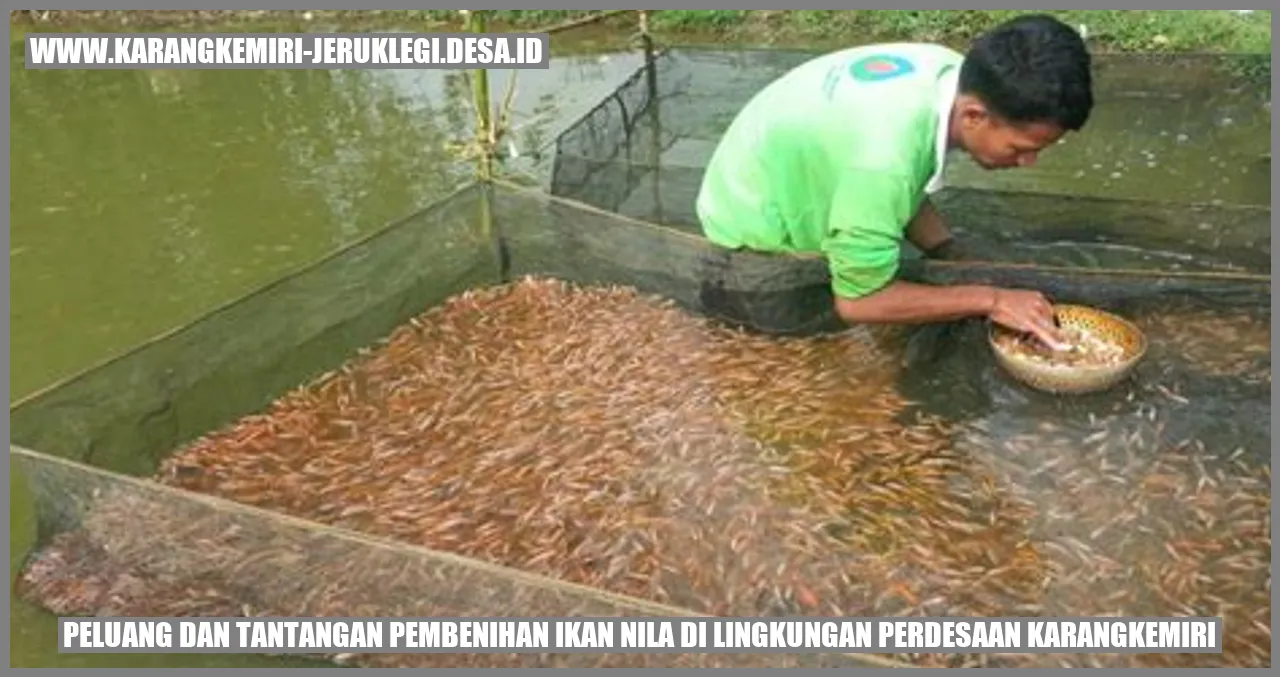 Gambar Ikan Nila di Perdesaan Karangkemiri