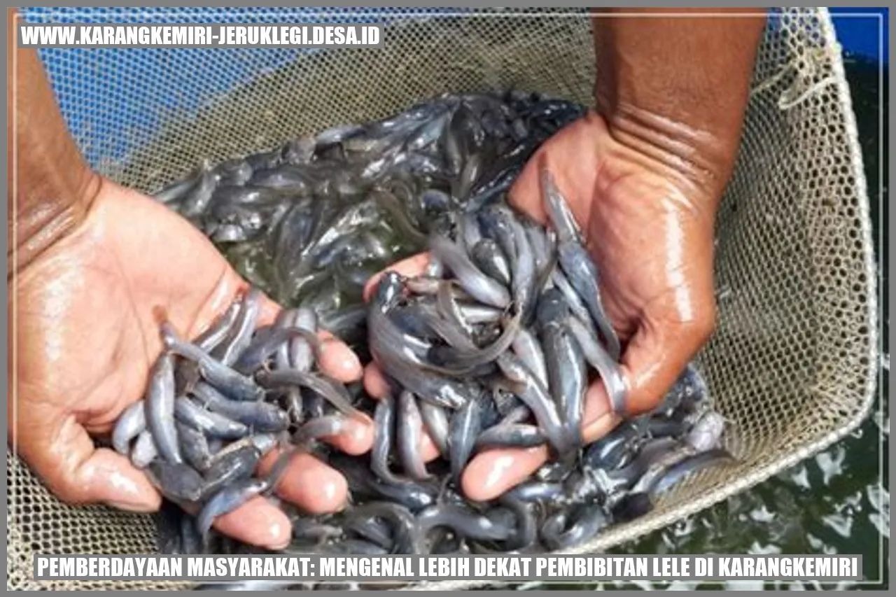 Pemberdayaan Masyarakat: Mengenal Lebih Dekat Pembibitan Lele di Karangkemiri