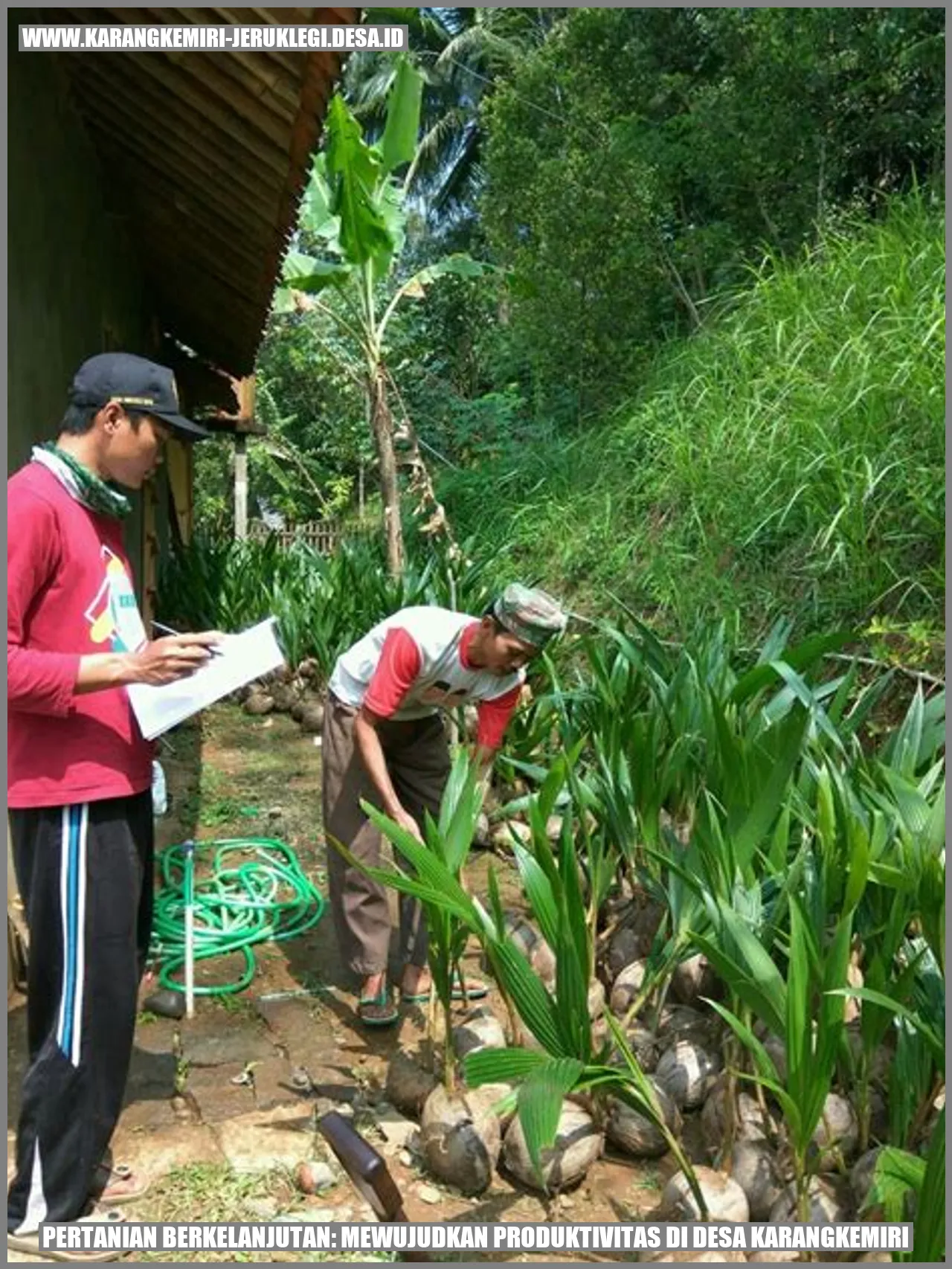 Pertanian Berkelanjutan: Mewujudkan Produktivitas di Desa Karangkemiri