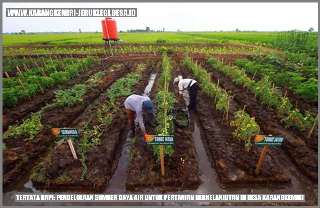Tertata Rapi: Pengelolaan Sumber Daya Air untuk Pertanian Berkelanjutan di Desa Karangkemiri