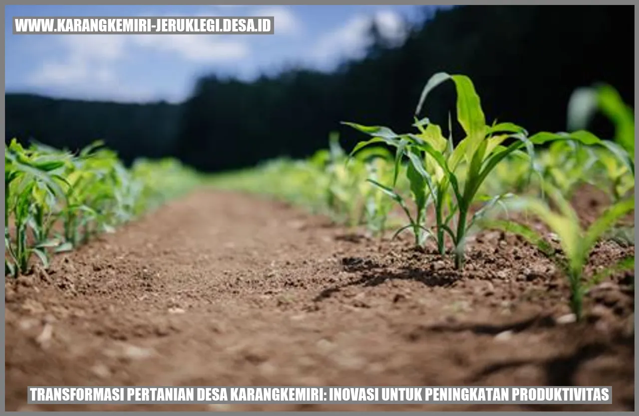 Transformasi Pertanian Desa Karangkemiri